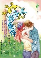 才子佳人：王子的条件