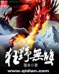 《狂野无双》