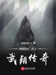《神探狄仁杰之武朝传奇》