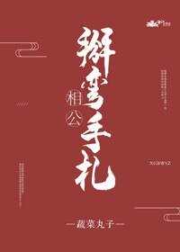 《相公掰弯手札》