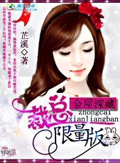《金屋深藏:总裁的限量版/秘密爱情:总裁请离婚》