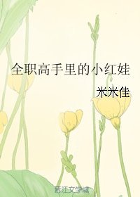 （BL/全职同人）全职高手里的小红娃