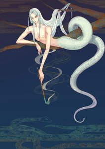 《狂犬症与蛇精病》