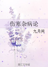 《伤寒杂病论》