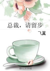 《总裁,请留步》