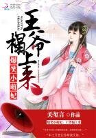 《爆笑小萌妃:王爷榻上来》
