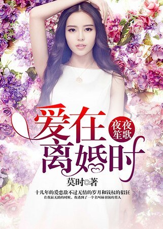 夜夜笙歌：爱在离婚时