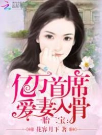 《一胎二宝:亿万首席爱妻入骨》