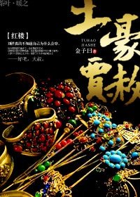 《(红楼同人)红楼之土豪贾赦》
