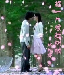 把一片爱挂在树梢