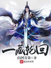 《一藏轮回》
