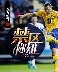 《禁区称雄》