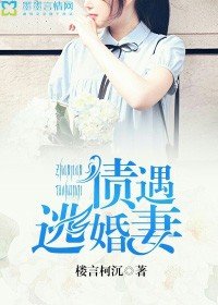 《债遇逃婚妻》