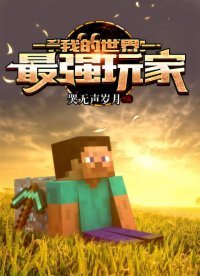 《我的世界:最强玩家》