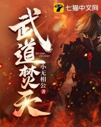 《武道焚天》