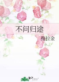 《不问归途》