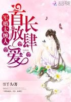 军婚太缠人:首长,放肆爱