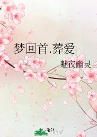 《梦回首.葬爱》