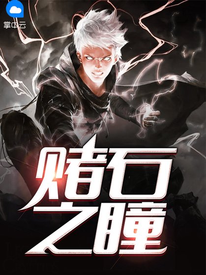 賭石之瞳