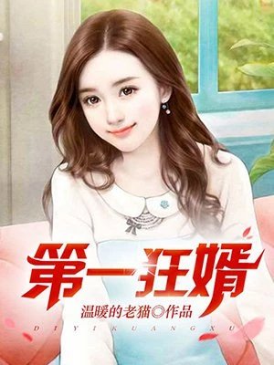 《第一狂婿》