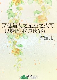 穿越猎人之星星之火可以燎原(我是侠客)