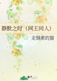 《静默之时(网王同人)》