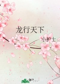 《龙行天下》