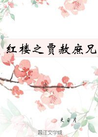 (红楼同人)红楼之贾赦庶兄