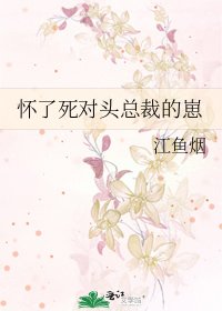 《怀了斯对头总裁的崽》