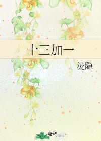 十三加一