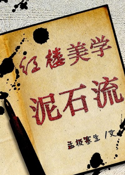 《红楼美学泥石流》