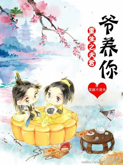 《重生之夫君,爷养你》