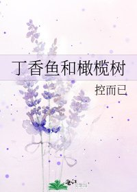《丁香鱼和橄榄树》