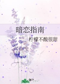 《暗恋指南》