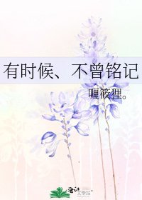 《有时候、不曾铭记》