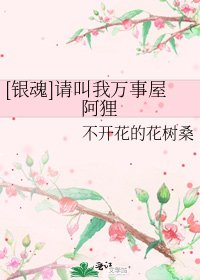 [银魂]请叫我万事屋阿狸
