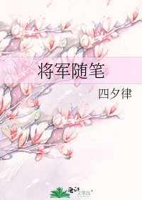 《将军随笔》