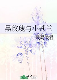 黑玫瑰与小苍兰