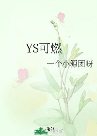 YS可燃