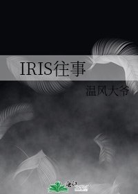 《IRIS往事》
