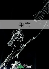 《争壹》