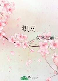 《织网》