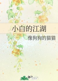 《小摆的江湖》