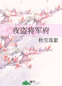 《夜盗将军府》