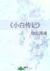 《小摆传记》