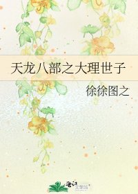 《天龙八部之大理世子》