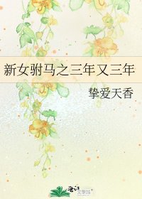 《新女驸马之三年又三年》