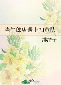 《当牛郎店遇上扫黄队》