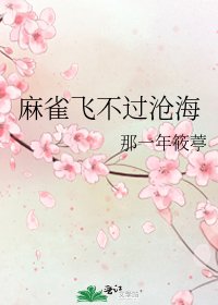 《麻雀飞不过沧海》