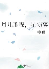《月儿璀璨,星陨落》